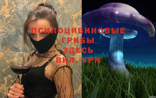 прущие грибы Балахна