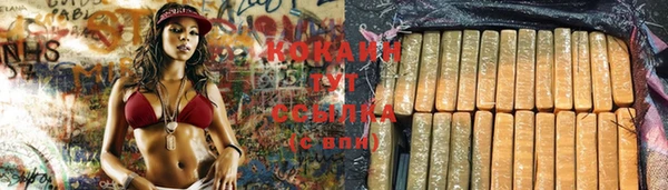 прущие грибы Балахна