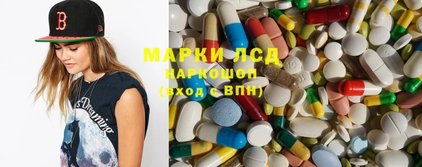 прущие грибы Балахна